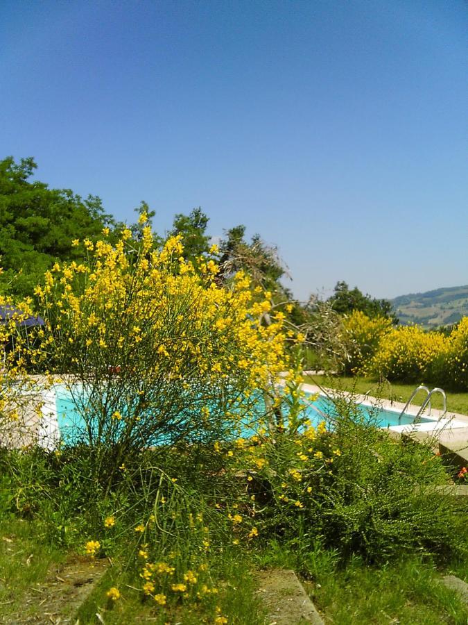 Bed And Breakfast Il Governatore Ουρμπίνο Εξωτερικό φωτογραφία