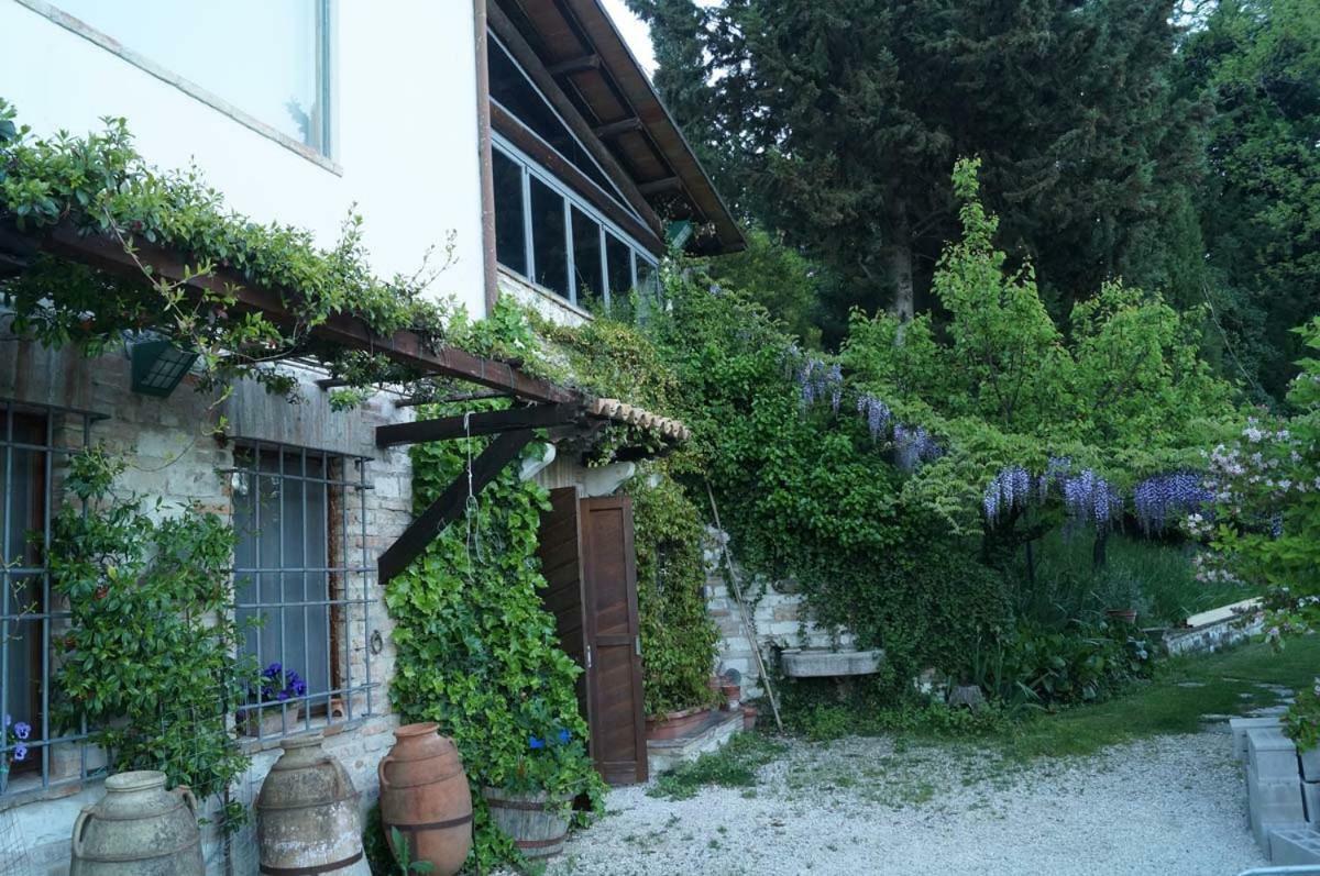 Bed And Breakfast Il Governatore Ουρμπίνο Εξωτερικό φωτογραφία
